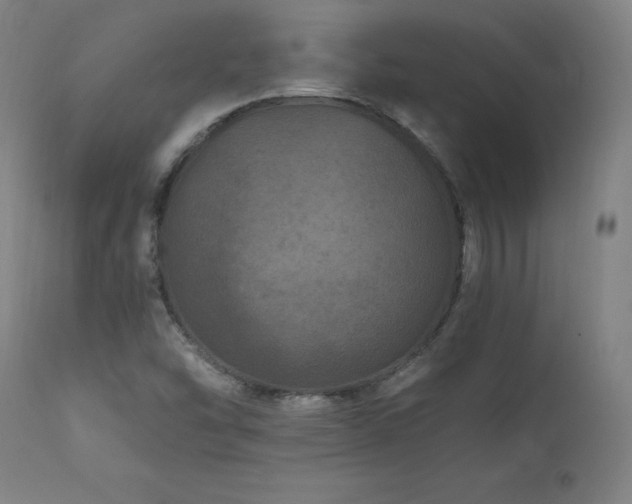 X0000112061454200908041203