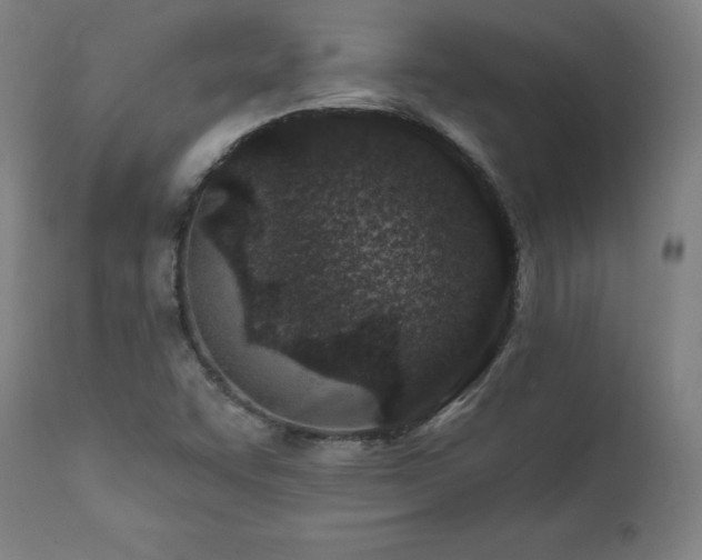 X0000112061455200908041203