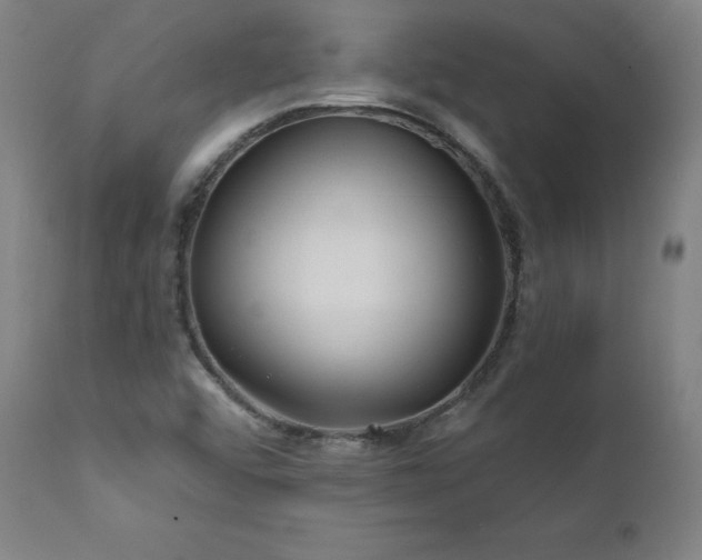 X0000112061456200908041203