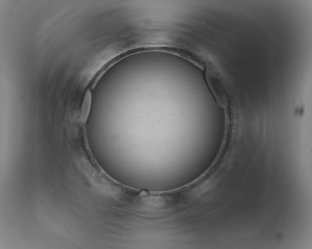 X0000112061457200908041203