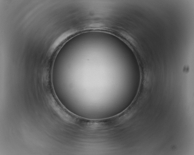 X0000112061458200908041203