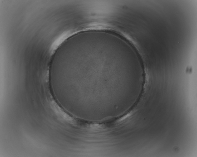 X0000112061459200908041203