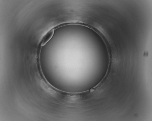X0000112061460200908041203