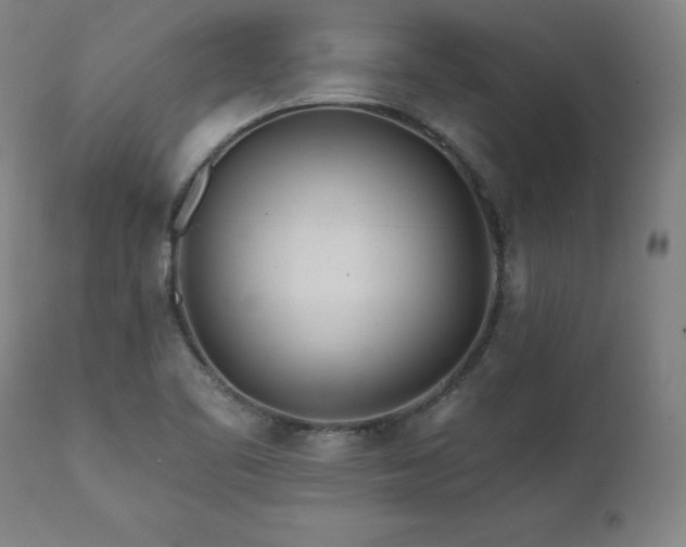 X0000112061461200908041203