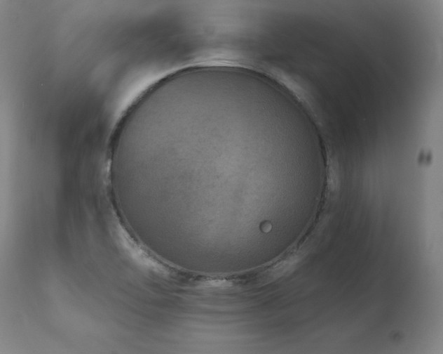 X0000112061462200908041203