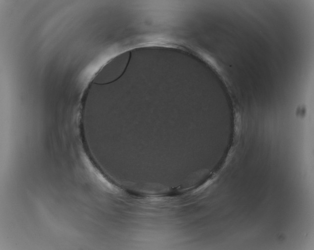 X0000112061463200908041203