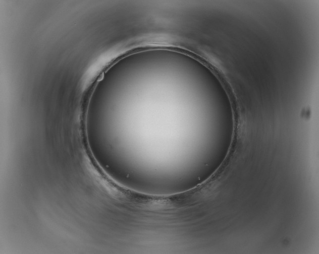 X0000112061464200908041203