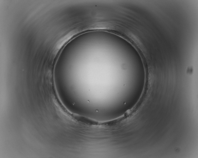 X0000112061465200908041203