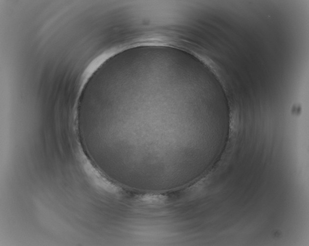 X0000112061466200908041203