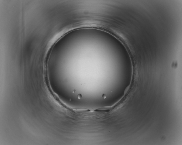 X0000112061467200908041203