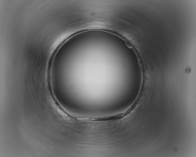 X0000112061469200908041203