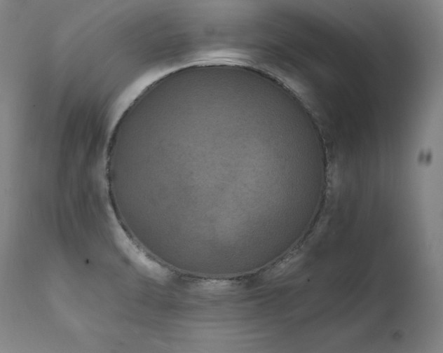 X0000112061470200908041203