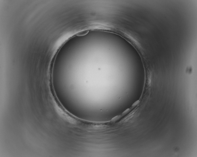 X0000112061471200908041203