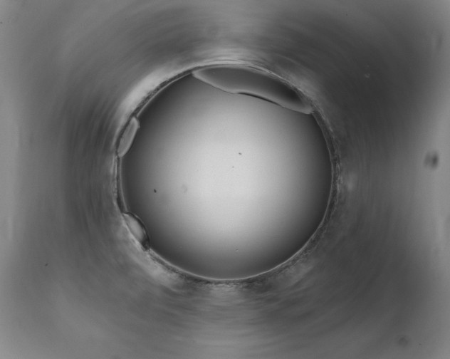 X0000112061472200908041203