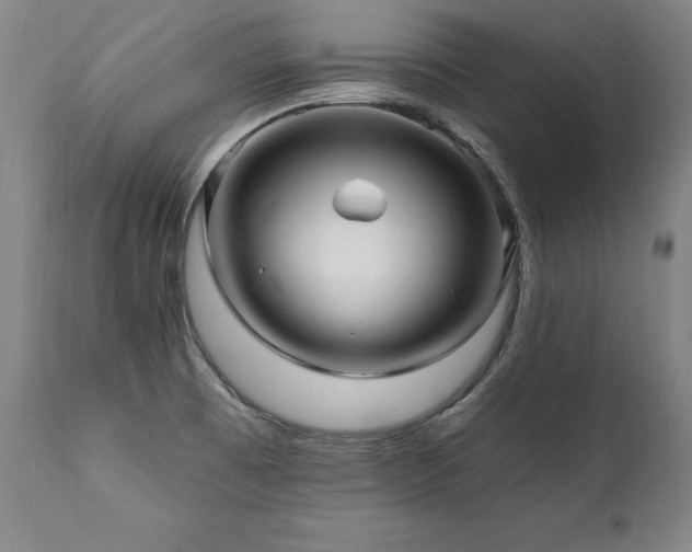 X0000112061473200908041203
