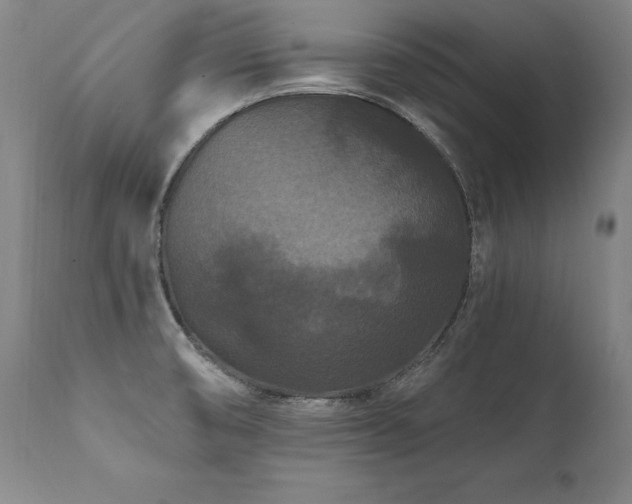 X0000112061474200908041203