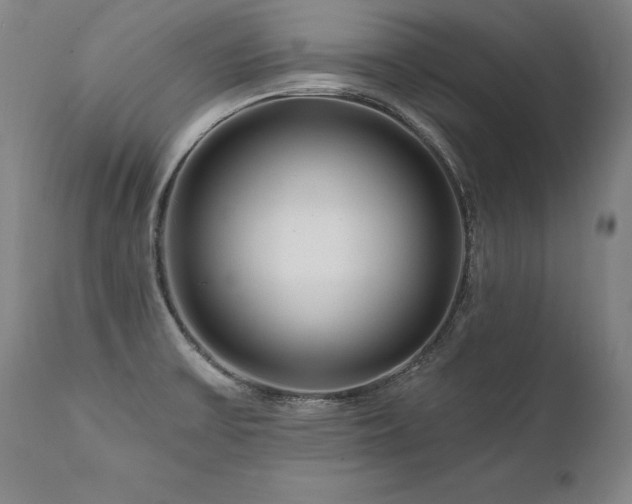 X0000112061475200908041203
