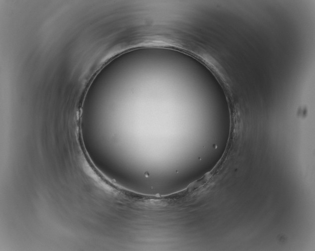 X0000112061476200908041203