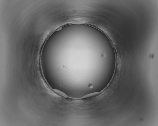 X0000112061477200908041203