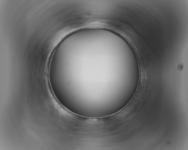 X0000112061478200908041203