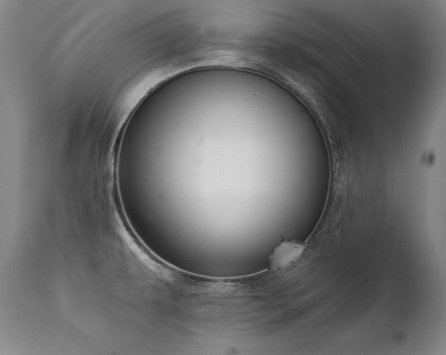 X0000112061479200908041203