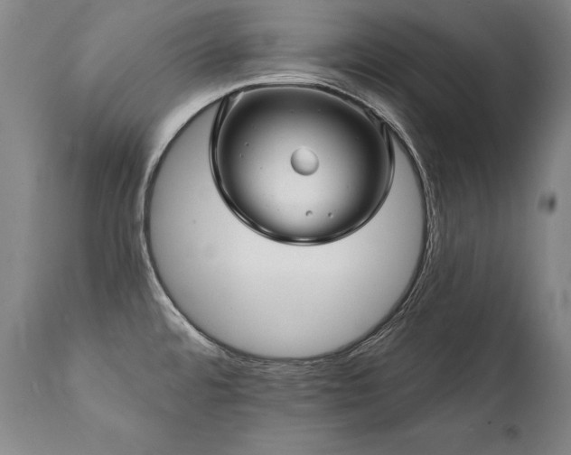 X0000112061480200908041203