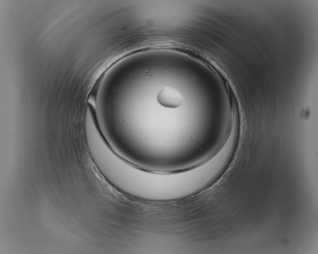 X0000112061481200908041203