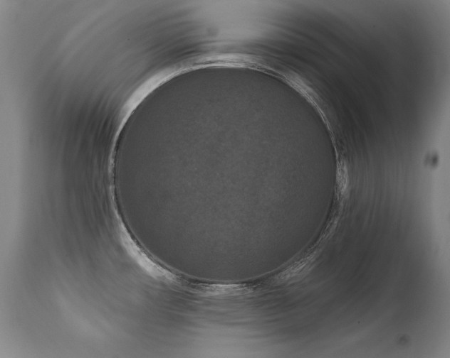 X0000112061482200908041203