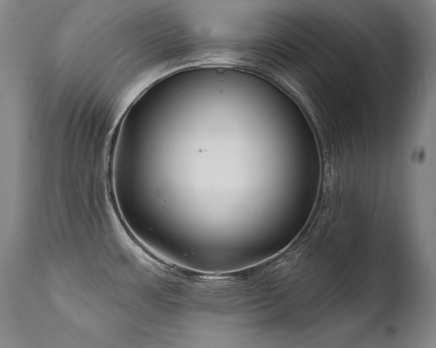 X0000112061483200908041203