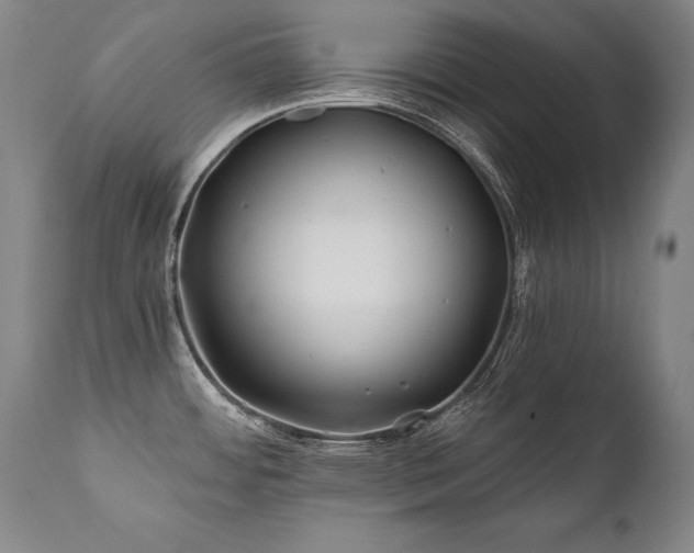 X0000112061484200908041203