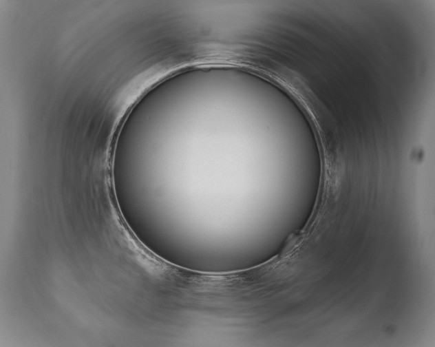 X0000112061485200908041203