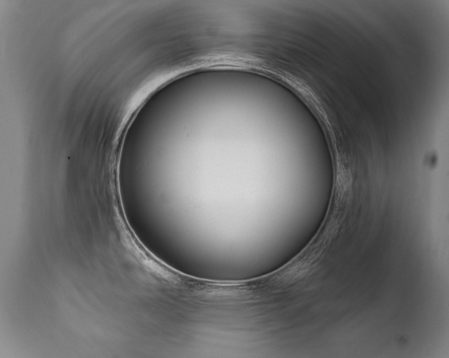 X0000112061486200908041203