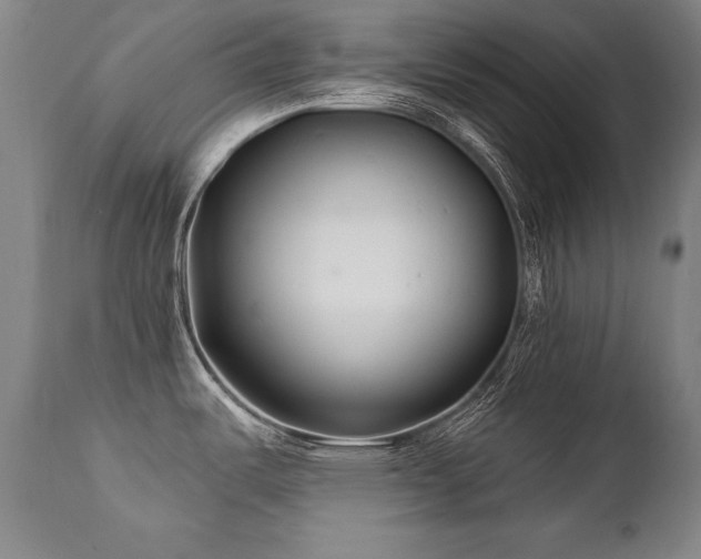 X0000112061487200908041203