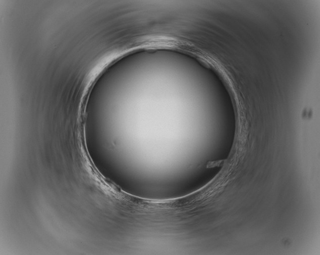 X0000112061488200908041203
