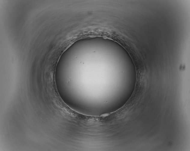X0000112061489200908041202