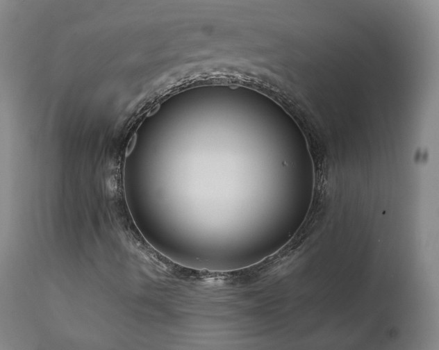X0000112061490200908041202
