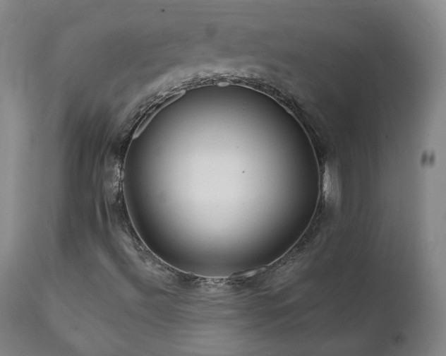 X0000112061492200908041202