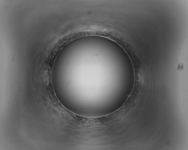 X0000112061493200908041202