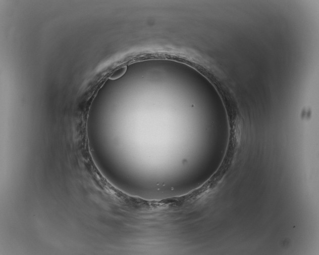 X0000112061494200908041202