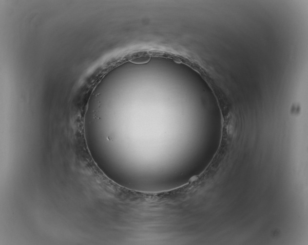X0000112061495200908041202
