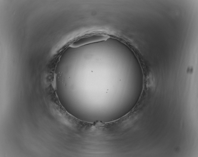 X0000112061496200908041202