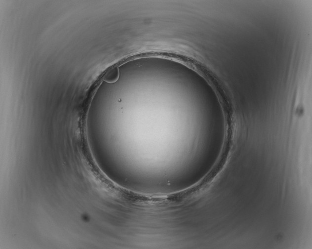 X0000112061497200908041202