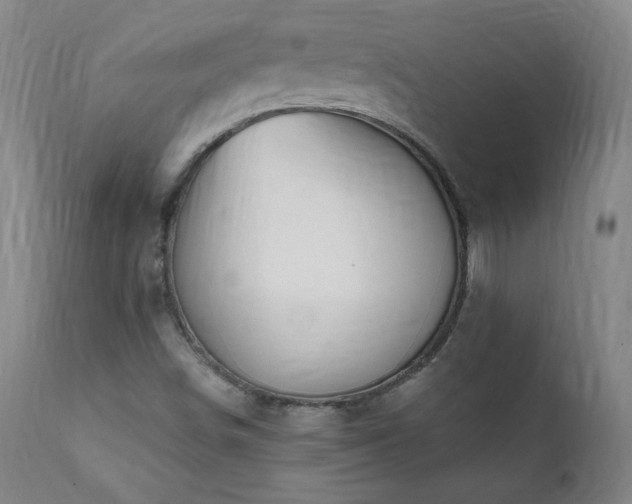 X0000112061498200908041202