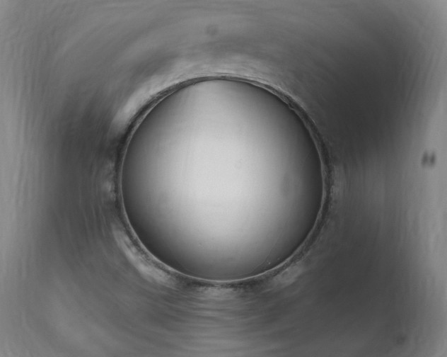 X0000112061499200908041202