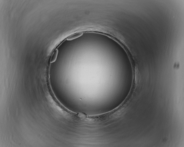 X0000112061500200908041202