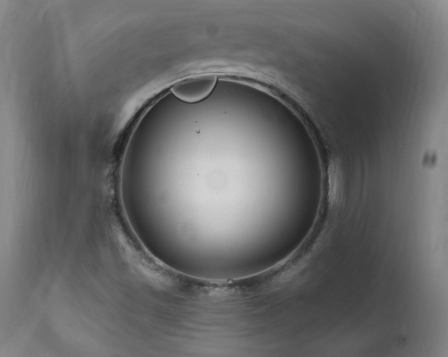 X0000112061501200908041202