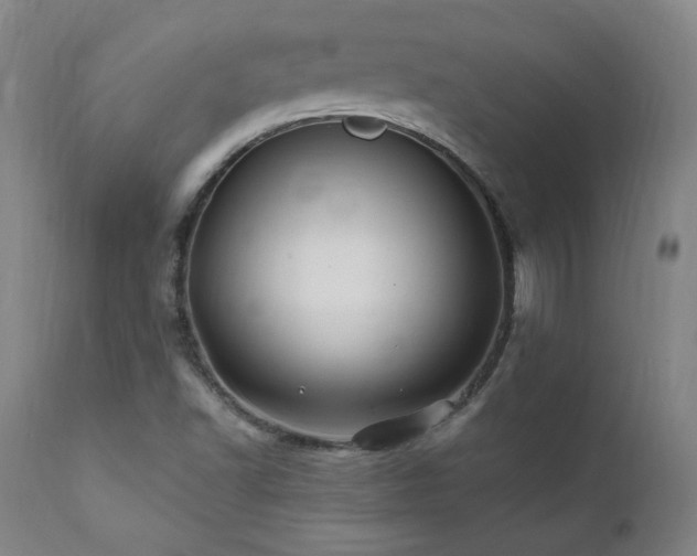 X0000112061502200908041202