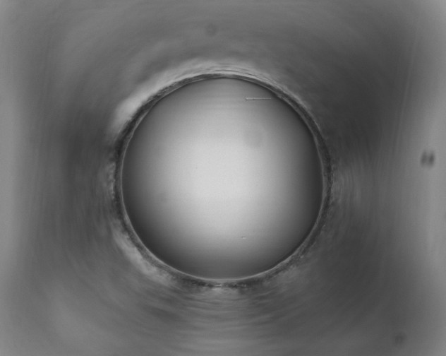 X0000112061503200908041202