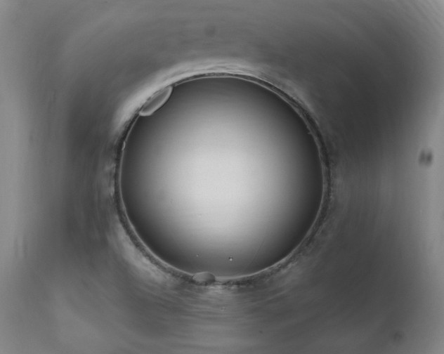 X0000112061504200908041202