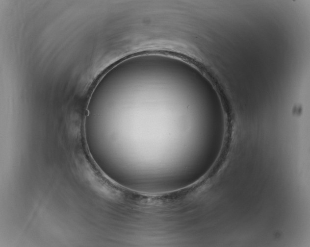 X0000112061505200908041202